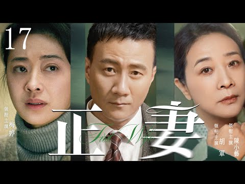 都市情感電視劇【正妻】▶ 17 | 丈夫賭博成性，妻子帶著兒子離婚，住在了同是離婚男胡軍的房子中，兩人心生愛慕，不料前妻和前夫突然出現，舊愛重逢，昔日良緣變孽緣（胡軍、梅婷、陳小藝） 💖中劇放映廳