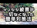 簡単イノシシ対策法　○○で２年間一切被害に遭わなくなりました。なるべくお金をかけず、手間をかけない方法を考える