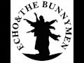 ECHO AND THE BUNNYMEN   LOVER I LOVE YOU 0001