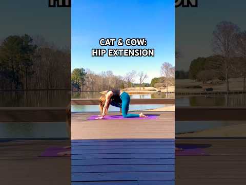 Cat Cow with Leg Lift | Hip Extension & Core Stability