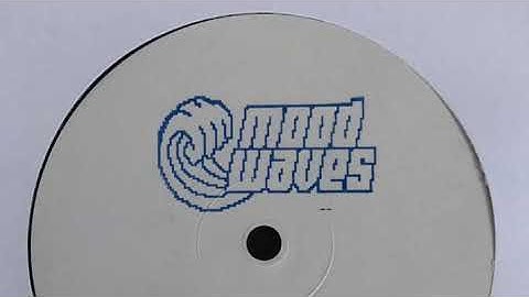 Data Memory Access (Giammarco Orsini & Jacopo Latini) - Technology