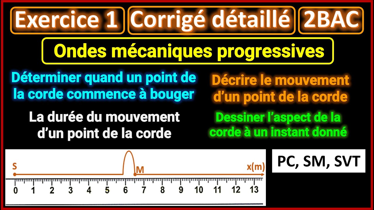 Ex1: Ondes mécaniques progressives (exercice intéressant) || 2BAC BIOF