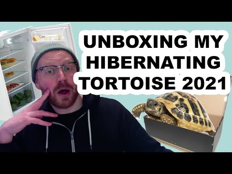 Unboxing My Hibernating