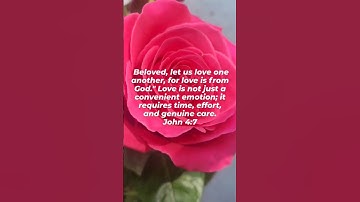 Love Unconditionally #boundaries #jesus #short