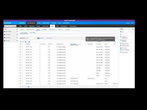 Deleting abandoned DHCP Leases in Infoblox