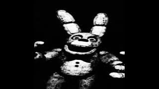 𝕐-𝟙𝟙𝟡 𝕊𝕡𝕣𝕚𝕟𝕘 𝔹𝕠𝕟𝕟𝕚𝕖