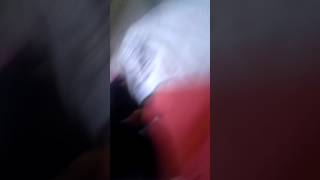 Mga batang nanonood ng vold