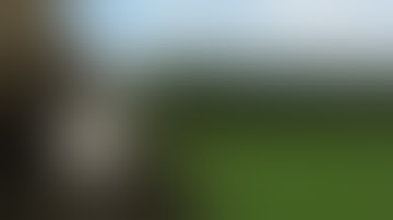 Warsteiner Brewery - Raw materials