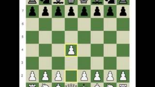 Torre Introduces the Torre Attack - Chess Video