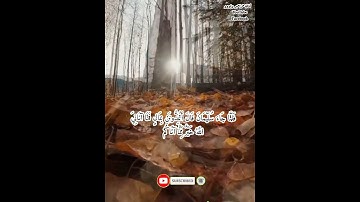 من روائع الشيخ الشحات محمد أنور 🌺 سورة النمل 🌺