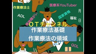 作業療法基礎学（作業療法の領域）　13時間目「作業療法士（OT）の為の国家試験対策」