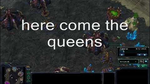 SC2 Queen Rush (Beta)