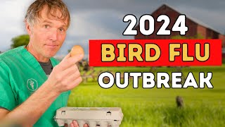 2024 Bird Flu Outbreak: Should Pet Owners Be Alarmed? by Veterinary Secrets 24,363 views 3 weeks ago 6 minutes, 17 seconds