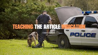 How to teach your dog the article indication