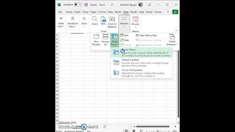 How To Freeze The First (left) Column and First (Top) Row In Microsoft Excel #shorts #excel #howto