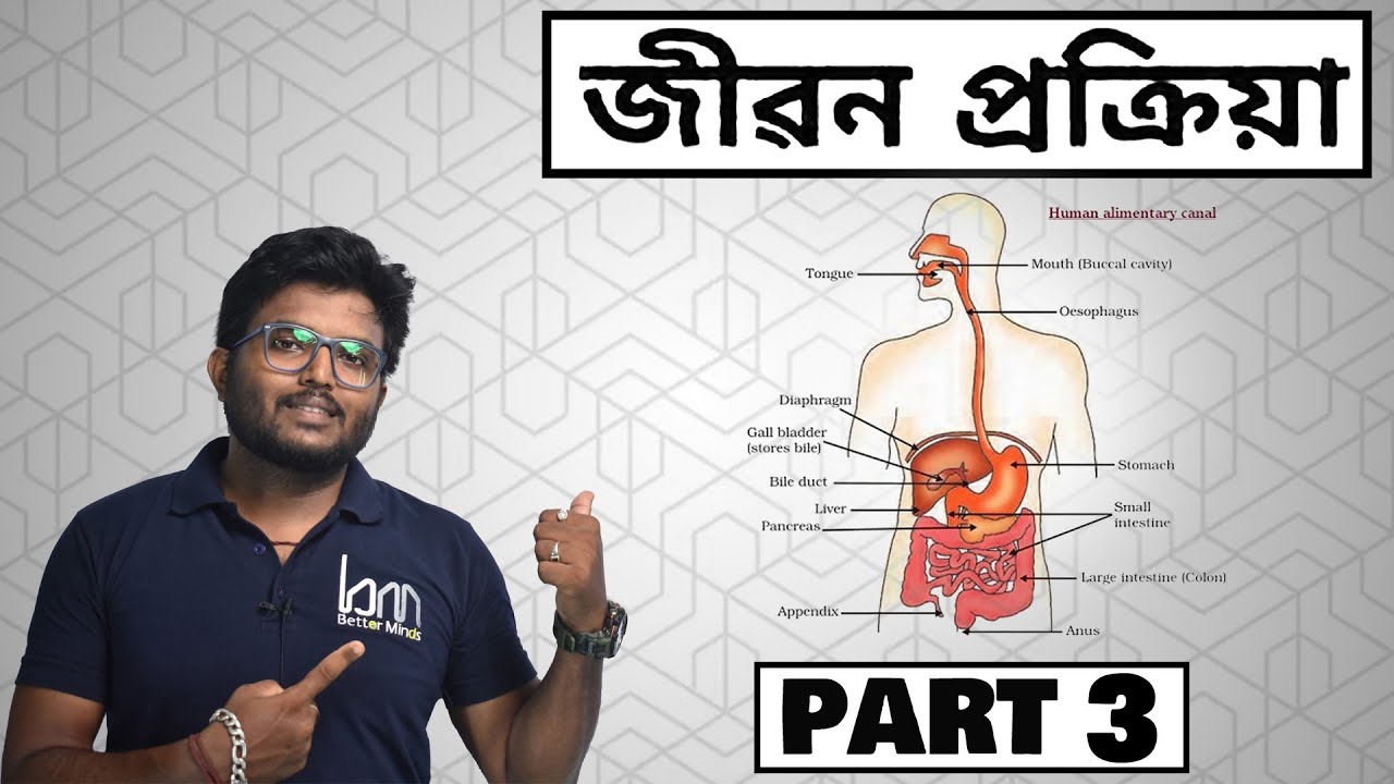 শ্বসন . জীৱন প্ৰক্ৰিয়া//দশম শ্ৰেণী//Class 10 science chapter 6//assamese medium PART 3