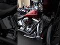 Why You Never See The Softail Deluxe 