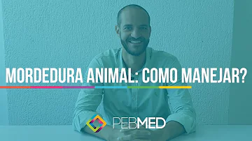 Como proceder com a vítima em caso de mordedura de animais?