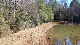 RRWR - Rescue Deer Running and Playing by River Rock Wildlife Rehab #RRWR 76 views 6 years ago 43 seconds