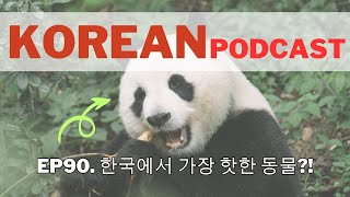 90. The most loved animal in Korea 🐼 Korean listening practice_ Korean Podcast
