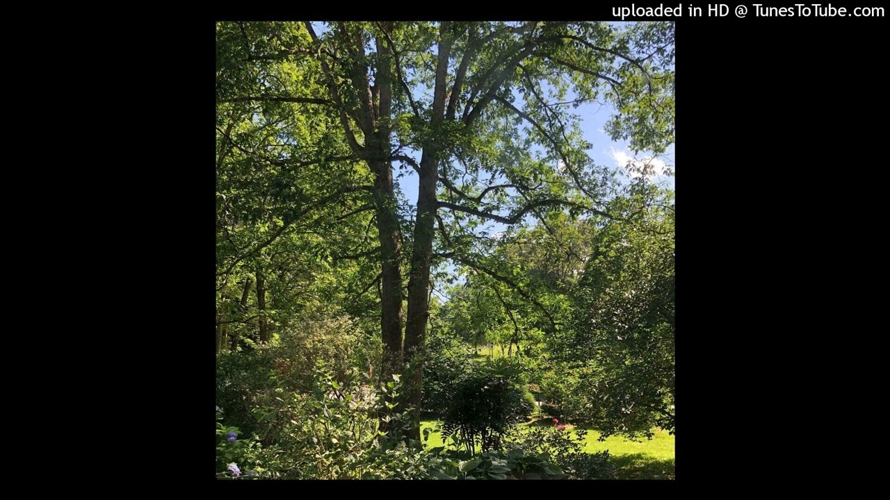 glaive - sick (normal pitch and speed)