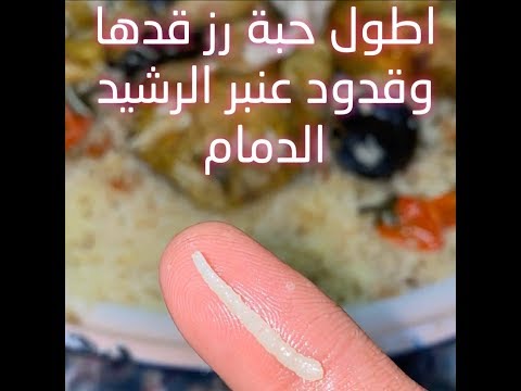 مندي فرن صبا من سناب ابو مشاري
