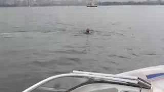 English Bay Challenge Swim -2008