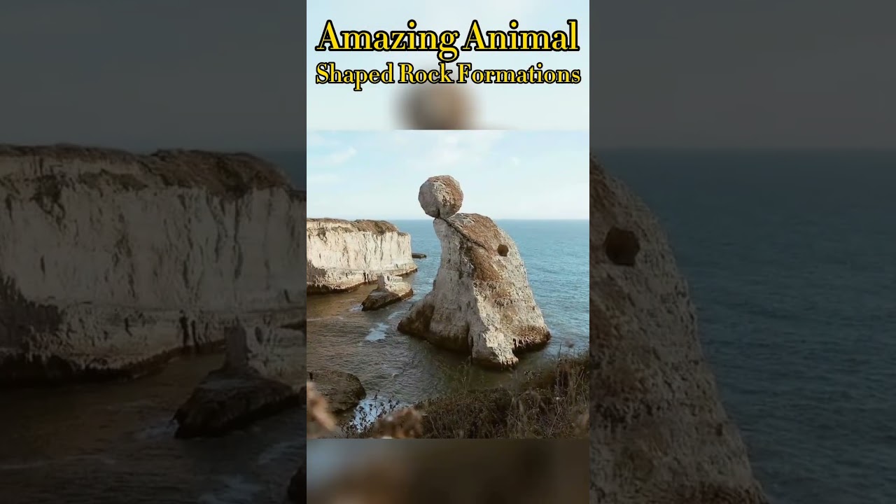 Wonder of nature 😮 Amazing animal shaped rock formations 🙉🐬🐘