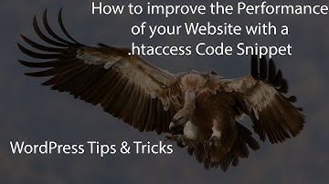 Leverage Browser Cache with .htaccess code Snippet - WordPress Optimization