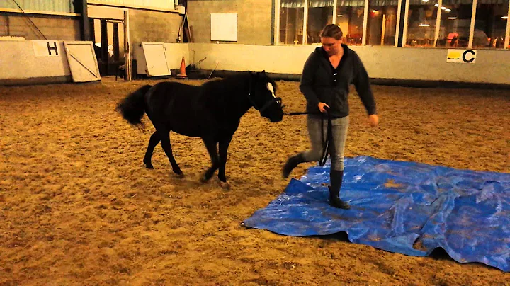 Huiswerk Diane Hummer