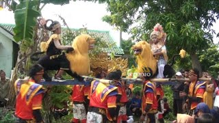 ODONG ODONG LUGAY JAYA | SINGA DANGDUT ODONG ODONG #lugayjaya #odongodong