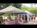 ‘Gays and Graves' celebrates LGBTGQ+ history of Congressional Cemetery | NBC4 Washington