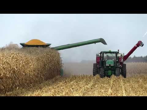 Harvest 2020 |