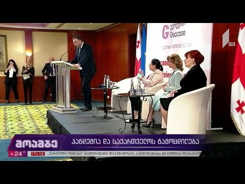 პანდემია და საქართველოს გამოცდილება