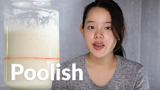 Preferment Basics: Poolish | Bread Science with Seraphine Lishe