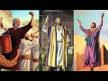 How King Solomon And The Other Sons Of David Fell (Bible Stories Explained)