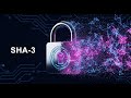 Secure Hash Algorithm (SHA): Foundations, Evolution, Applications, and Post-Quantum Resilience