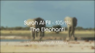 Surah Al-Fil سُوۡرَةُ الفِیل Sheikh Maher Al Muaiqly - English & Arabic Translation