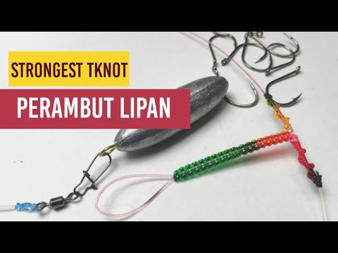 Video: Tali Yang Dapat Ditarik: Tingkatkan Rig Untuk Pemangsa