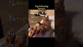 Download Lagu Top 5 Kelakuan Kucing Terlucu MP3 Download Lagu Top 5 Kelakuan Kucing Terlucu MP3