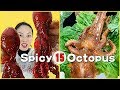 ASMR Amazing Spicy Octopus Eating Show Compilation #13 - 문어/たこ/ปลาหมึก/Bạchtuộc/章鱼/Chinese Food