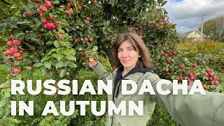 видео: РУССКАЯ ДАЧА ОСЕНЬЮ. Влог на медленном русском с русскими и английскими субтитрами.Говорим по-русски картинка: РУССКАЯ ДАЧА ОСЕНЬЮ. Влог на медленном русском с русскими и английскими субтитрами.Говорим по-русски