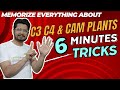 C3 C4 and CAM plants | Calvin cycle tricks to remember | pathways of carbon fixation