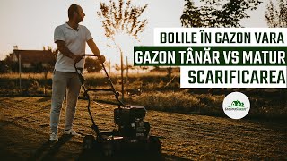 Boli in gazon vara: gazon tanar vs matur. Aplicăm sau nu fungicide? Scarificarea gazonului.