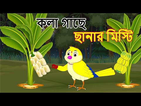 ভিডিও: কলা গাছের ছানা কী: কলা গাছের অফসেটগুলি কীভাবে আলাদা করবেন