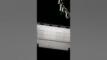 Forex Sentiment Indicator Signals Real Account Result