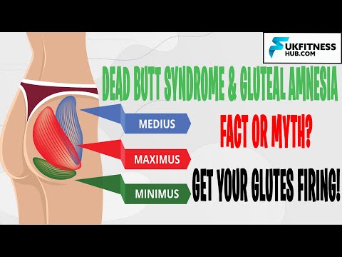 Gluteal Amnesia and Dead Butt Syndrome - How To Test Your Glutes, Best Exercises and Gluteal Anatomy