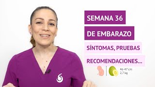 Semana 36 de embarazo 🤰: cambios en el bebé y síntomas en la madre screenshot 1