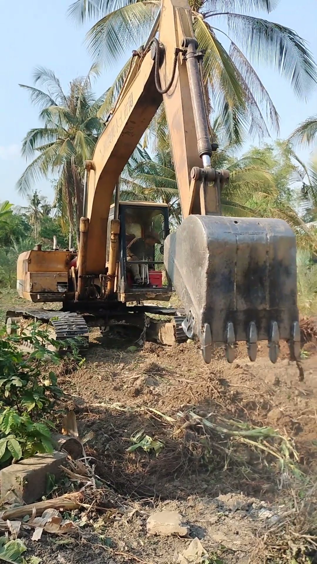 What Size Excavator Do You Need To Remove Trees automobile equpment What Size Excavator Do You Need To Remove Trees automobile equpment