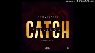 Dammy Krane - Catch Feelings